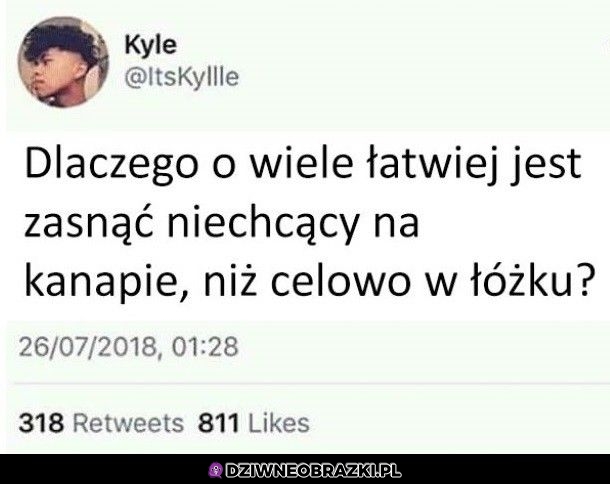 Właśnie 