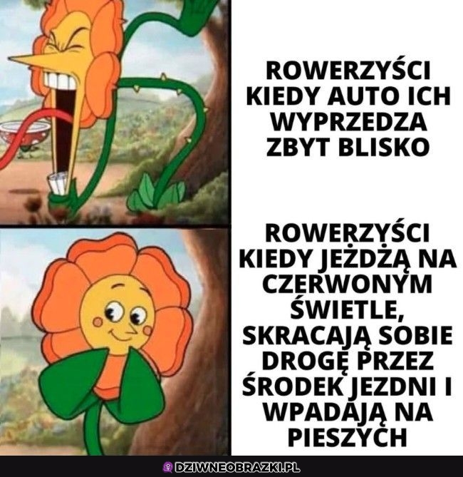 Rowerzyści tacy są