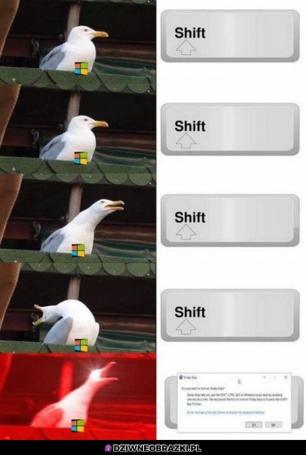 Ten moment