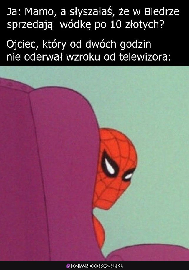 Pajęczy zmysł zadziałał 