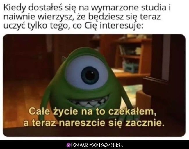 I przychodzi rozczarowanie