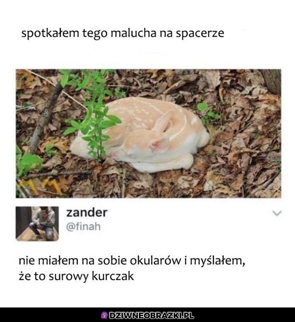 Dziwny ten kurczak