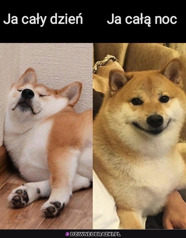 To ja