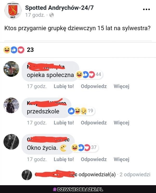 Kto je przygarnie?