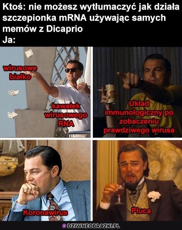 Wytłumaczone