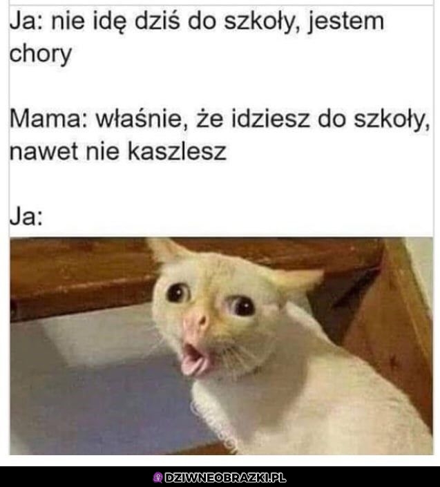 Jak to nie?