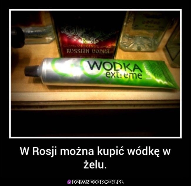 Ciekawostka