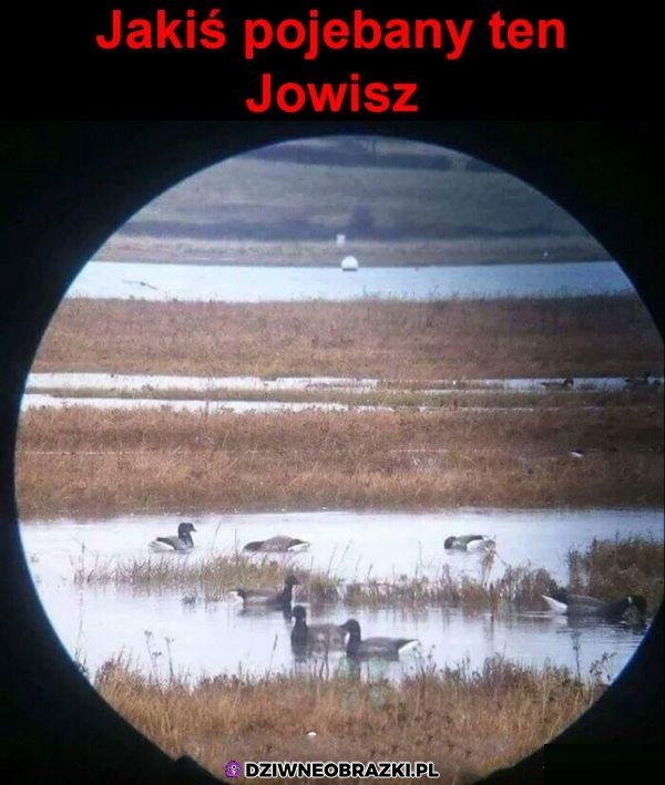 Jowisz