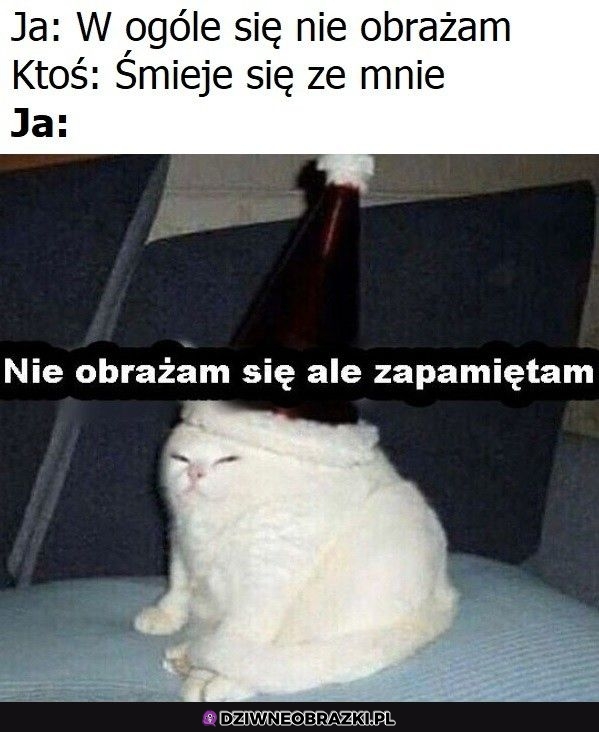 Ale nie obrażam Ale nie obrażam