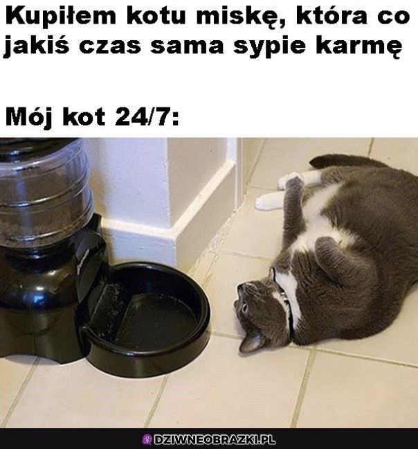 Ma nowe bóstwo