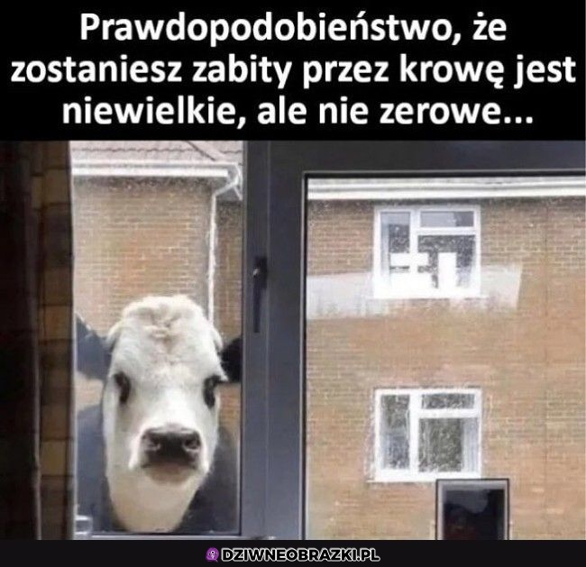 Pamiętaj, niezerowe