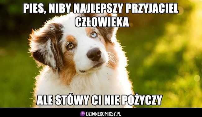 No właśnie