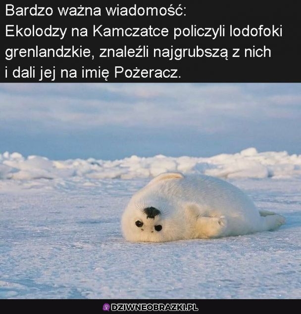 Ważne info!