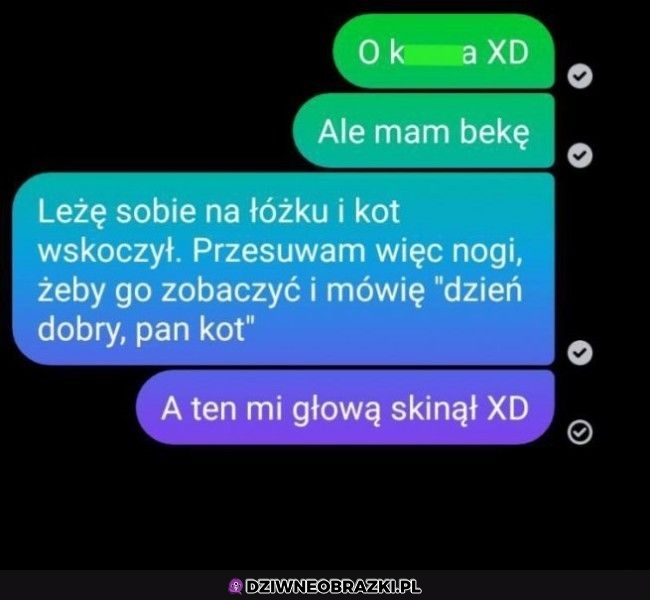No witam