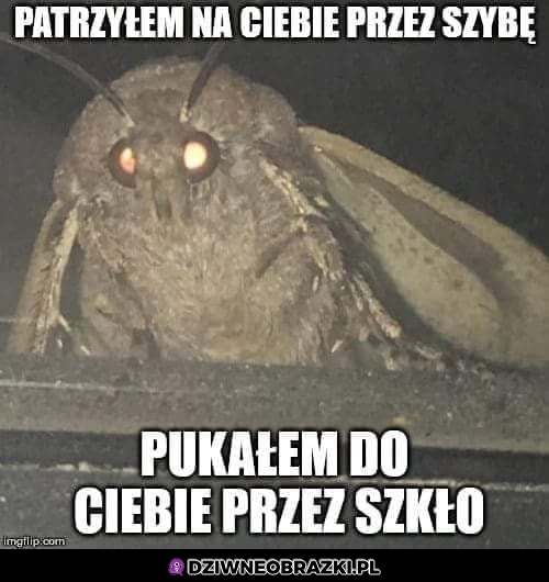 Ćma