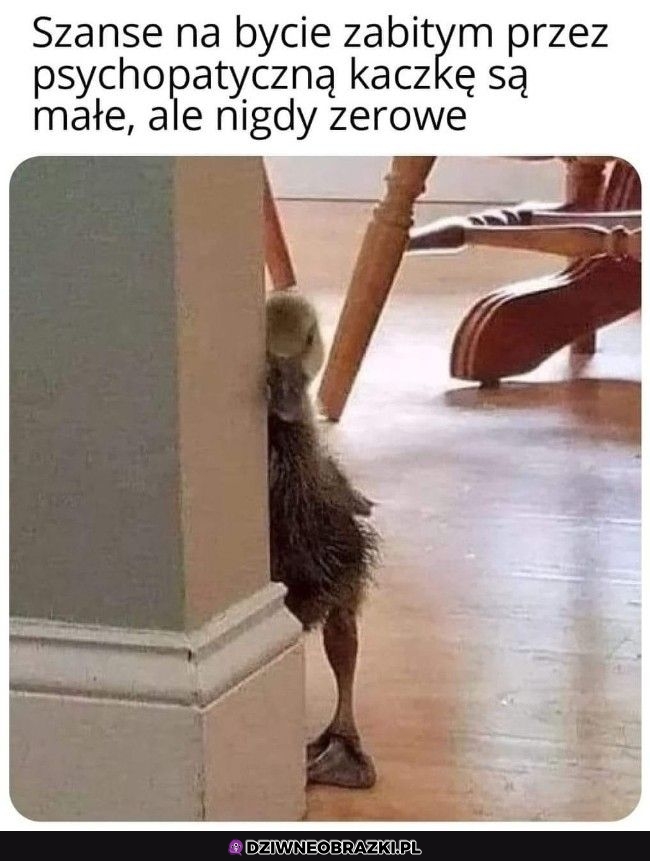 Teraz mam kolejną fobię