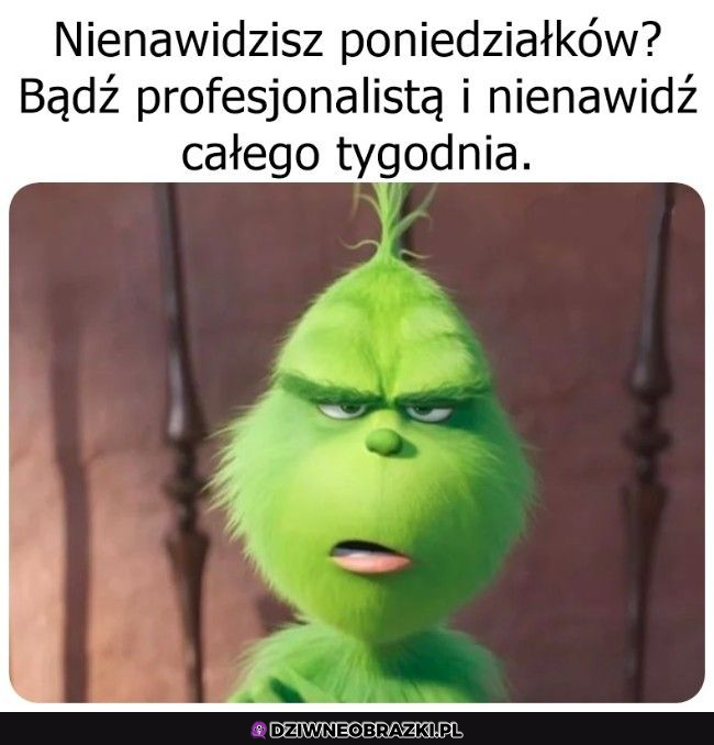 Nie ma się co ograniczać