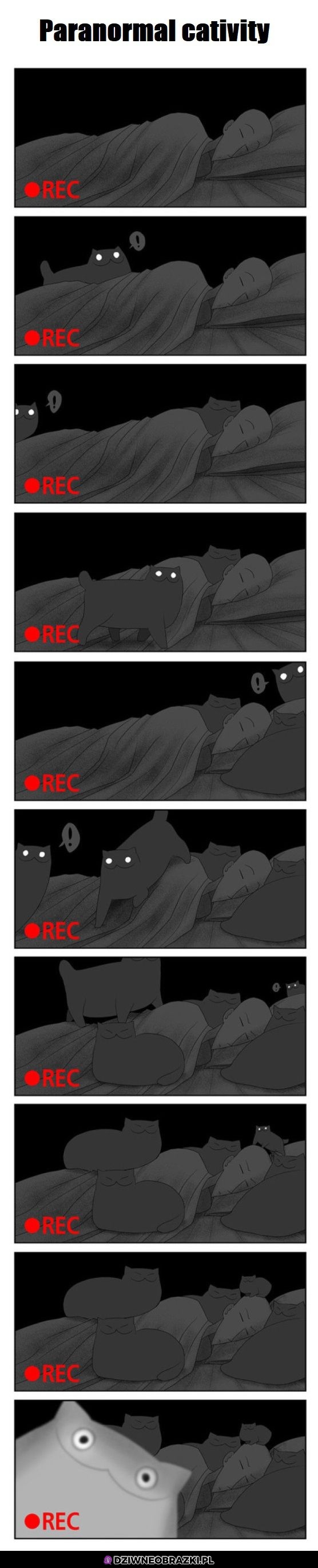 Paranormal cativity
