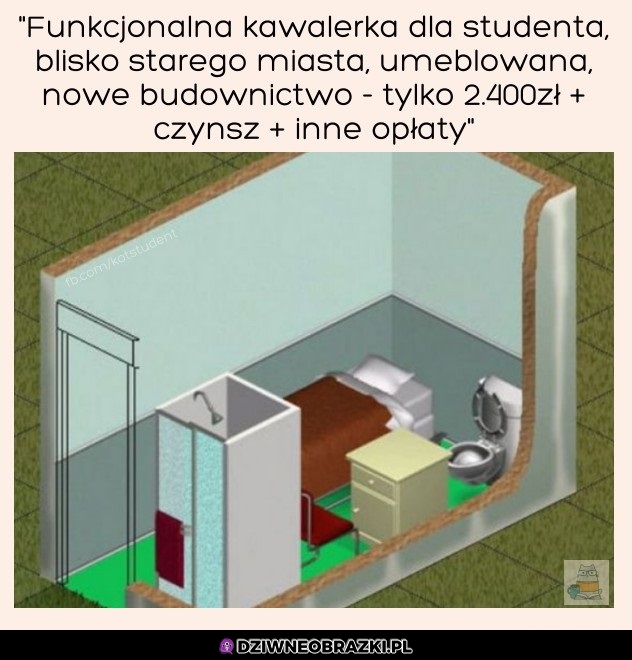 Kawalerka w centrum