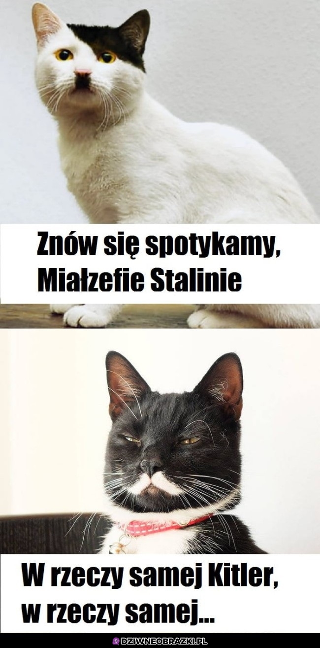 Znów się spotykamy