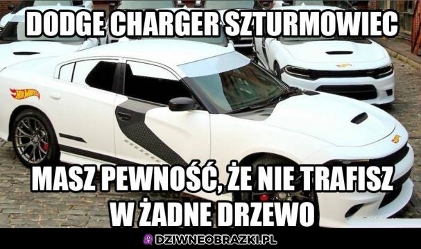 Całkiem spoko