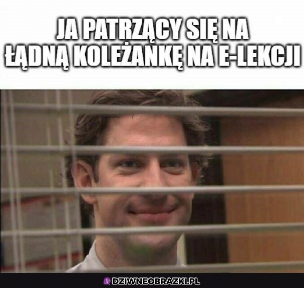 Tak to wygląda