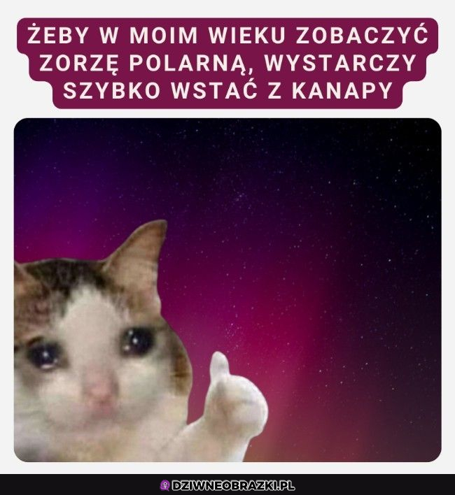 kiedy chcesz zobaczyć zorzę