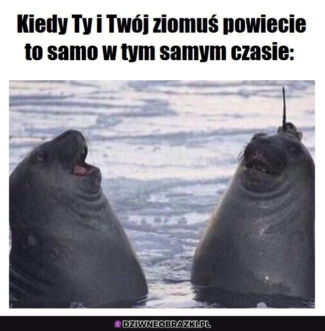 Ten moment