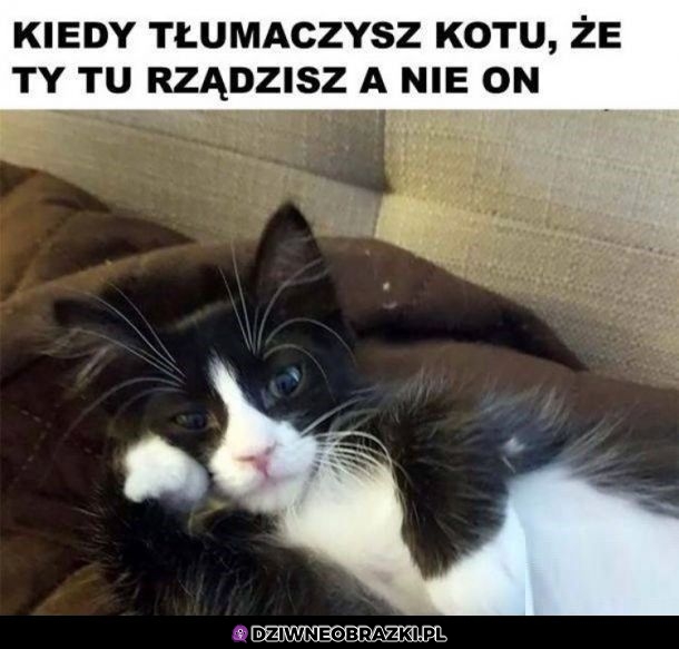 I co jeszcze wymyślisz?