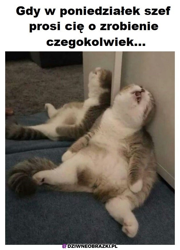 Ten moment Ten moment