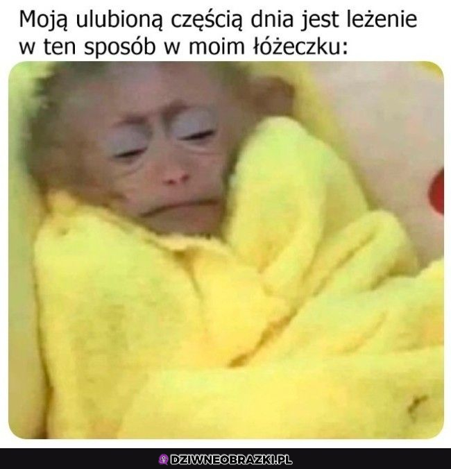 Moja ulubiona część dnia