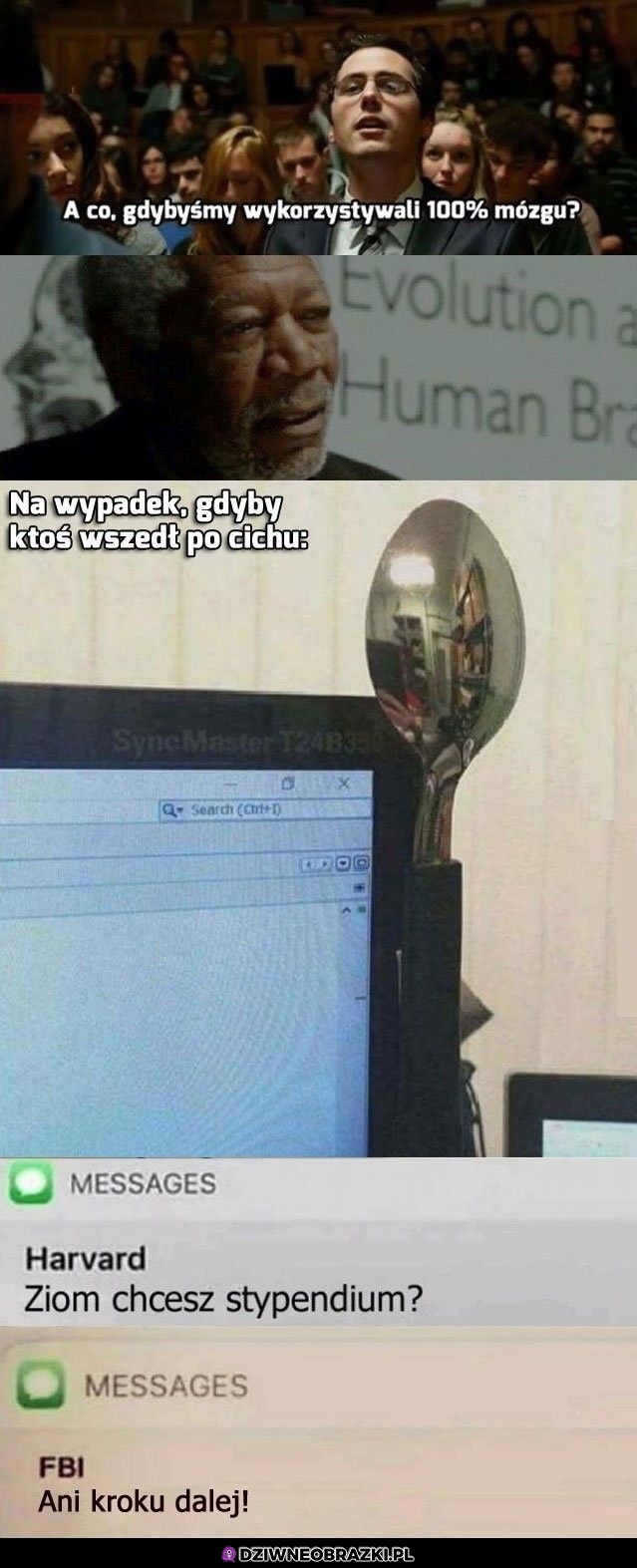 100% mózgu