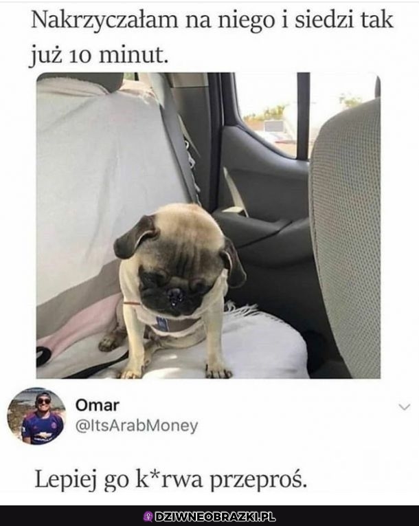 Smutny pieseł
