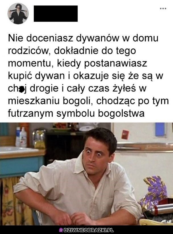 Dywany takie są