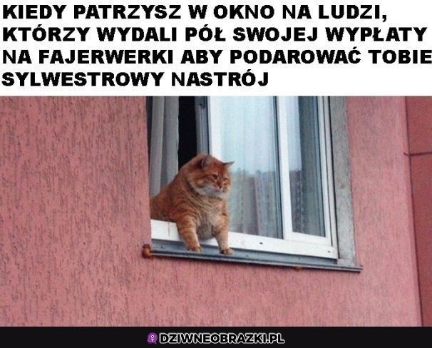 Dziękuję wam