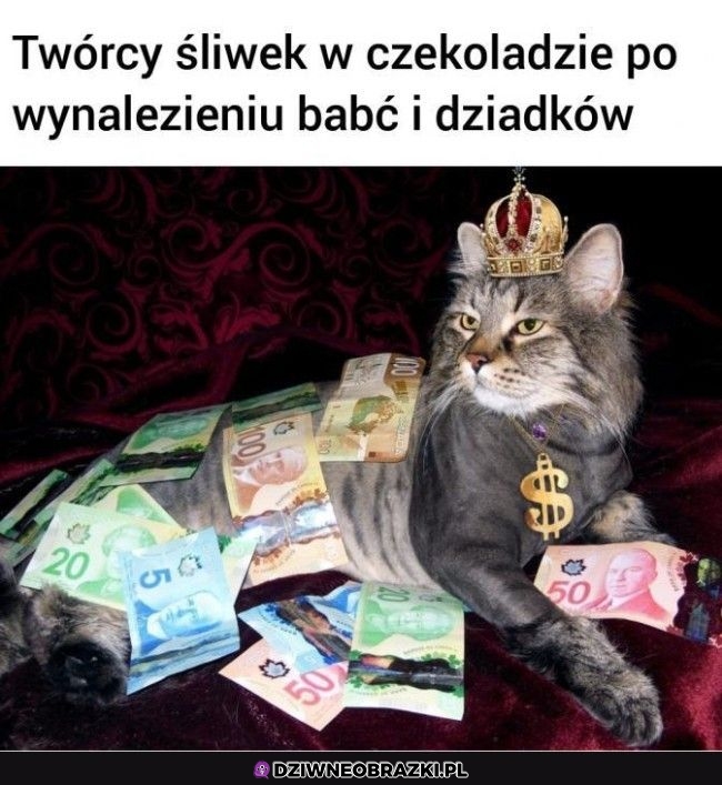 Zawsze śliweczki w czekoladzie