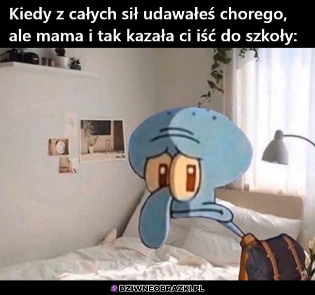 Nie udało się