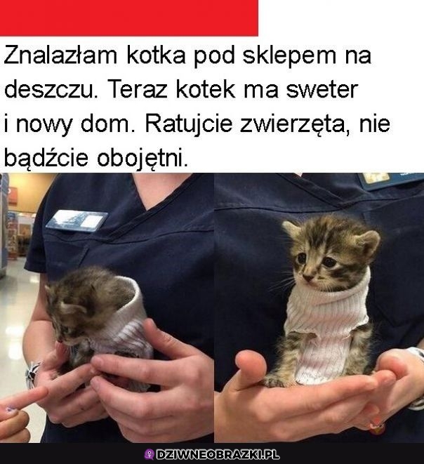 Róbcie tak!