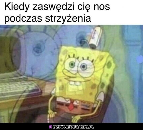 Ten moment
