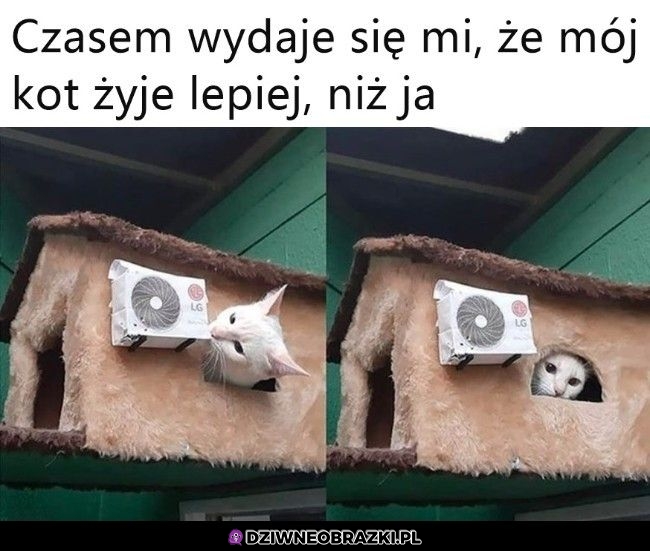 Bo tak żyje