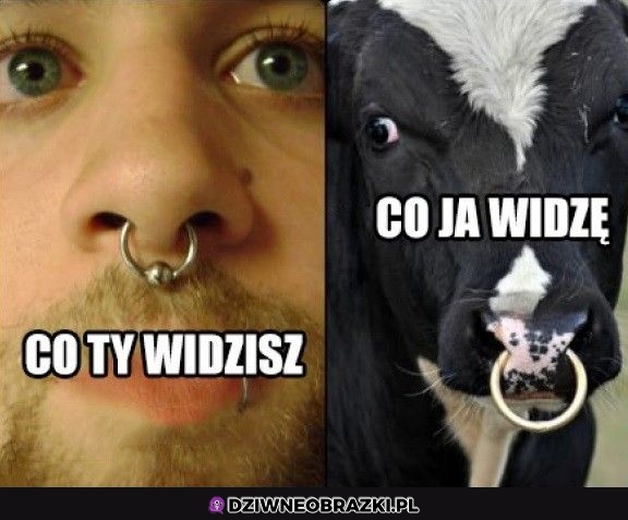 Tak to widzę