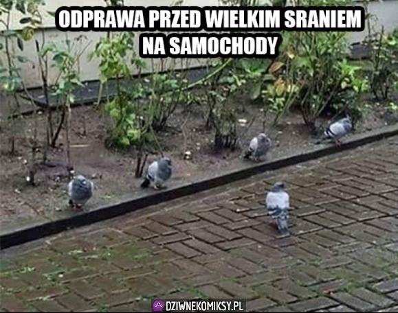 Szwadron Jaszczembi