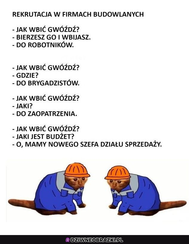 Zawsze kwestia pieniędzy 