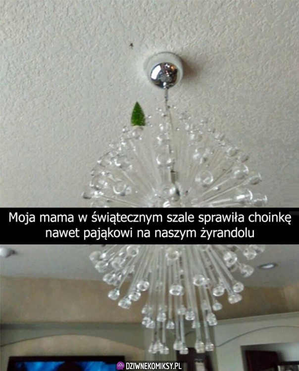 Dzięki mamo