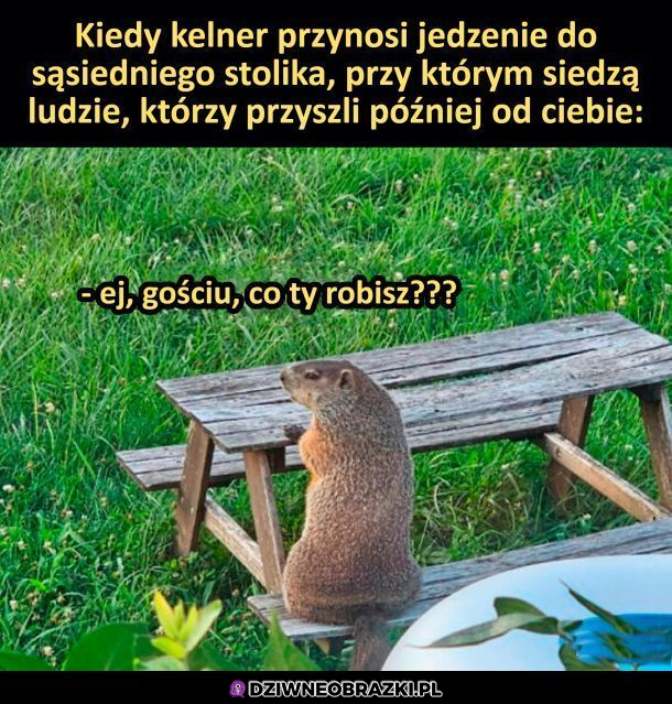 Kiedy zamówisz pierwszy!