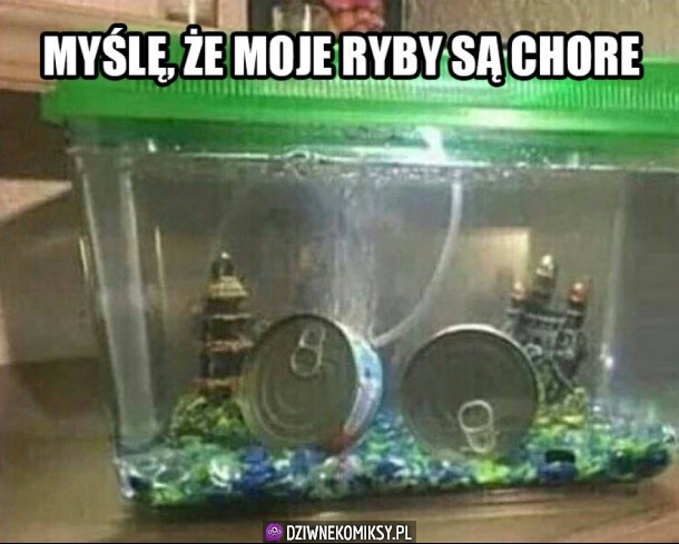 Jakieś dziwne te rybki