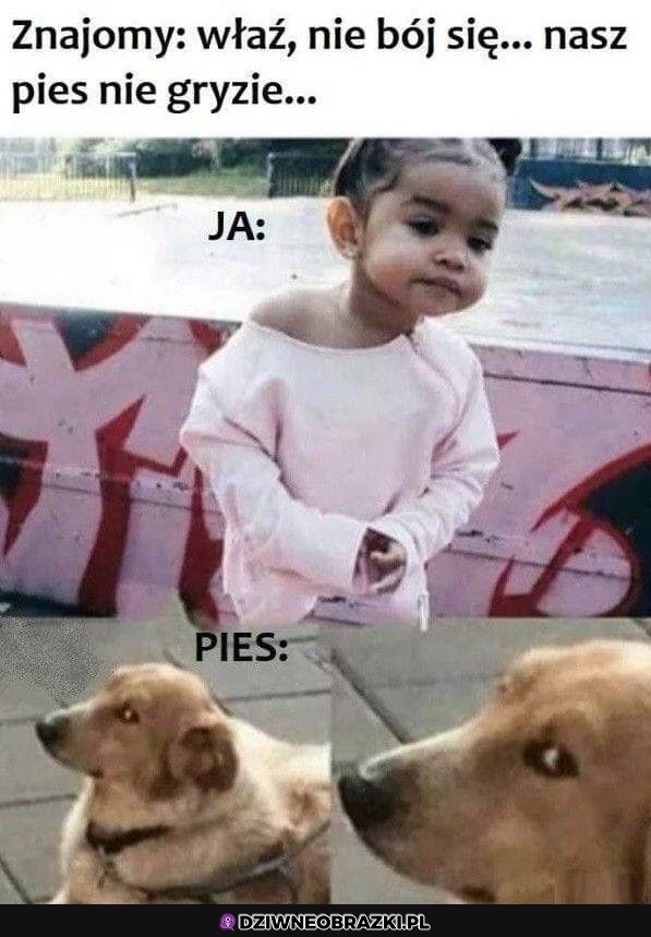 Na pewno?