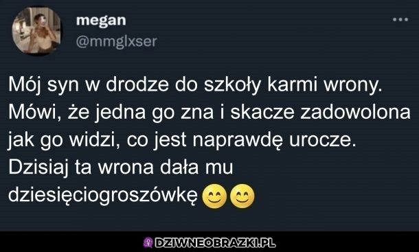 A więc zaczęły się spłacać