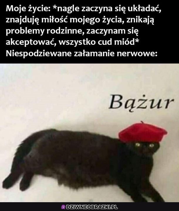 No witam