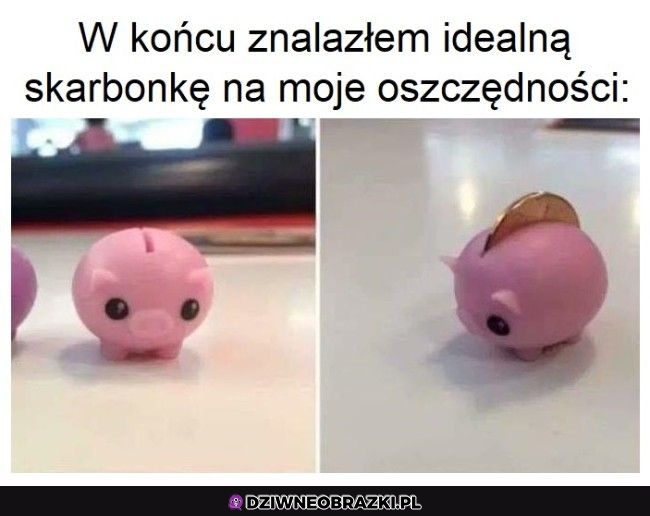 Skarbonka idealna